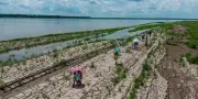 El Niño à nos portes : l'ONU appelle à se préparer