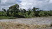El Niño officiellement lancé : 63% de chances d'un épisode historique