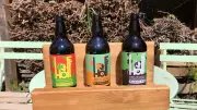Festival Entre-Vignes & Houblons : rock et bières artisanales à Vérargues