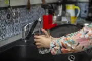 Filtres à eau : la PME Aralis répond aux PFAS dans le Gard et le sud de Lyon