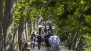 Fin de la canicule : orages et hausse des températures en Occitanie cette semaine