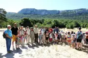 Forêt de la Sainte-Baume : 1 000 écoliers en sortie pédagogique
