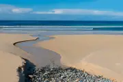 France : trois nouveaux sanctuaires marins de la Bretagne à la Guadeloupe