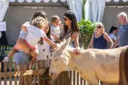 Fête des producteurs à Saint-Raphaël : produits locaux et qualité au rendez-vous