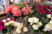 Harcèlement raciste d'une fleuriste à Nice : son calvaire raconté