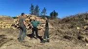 Hérault : menace d'incendie géant après les tempêtes hivernales