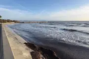 Hyères : sable, SRU, voie Samuel Paty, la maire fait le point