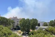 Incendie dans le massif de la Croix-des-Gardes à Cannes, les pompiers mobilisés