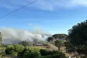 Incendie de végétation à Fréjus : 44 pompiers mobilisés