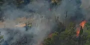 Incendie des Corbières : un agent de l'ONF mis en examen