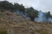 Incendie à Mandelieu : un hectare de végétation détruit par le feu