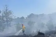 Incendie maîtrisé à Cannes : 2 500 m² brûlés dans le massif de la Croix-des-Gardes