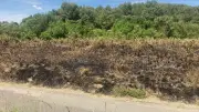 Incendie maîtrisé près du Moulin de Julien à Neffiès