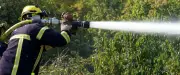 Incendie à Servas : 1,5 hectare de végétation détruit, 30 pompiers mobilisés
