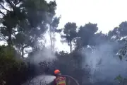 Incendie à Toulon : 5000 m² de broussailles brûlés, lutte difficile