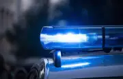 Individu suspect signalé dans le bois de Vaires-sur-Marne