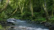 Isère : corps d'un maçon découvert au bord de la Gère, piste criminelle