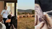 Jean-Noël Barrot en visite express à Sète, 2000 brebis en estive en Lozère
