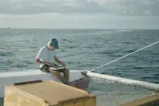 « La Baleine et le Musicien » : un documentaire séduisant mais trop mis en scène