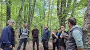 La forêt des Mazes sacrée au SylvoTrophée 2026