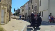 La fête de la transhumance à Lespignan : un succès estival
