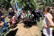 Le Cannet plante un albizia pour symboliser son engagement écologique