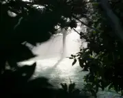 L'eau comme la foudre de Laure Pfeffer lu par Judith Soria archiviste