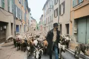 Les Nocturnes de Rocbaron : marché nocturne et animations chaque jeudi au Domaine de la Verrerie