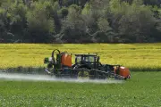 Loi sur le cadmium : l'extrême droite utilise des arguments trompeurs