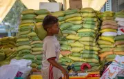 L'OMS alerte : 1,5 million de morts par an liés aux aliments insalubres