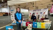 Loz'Dog : premier week-end réussi pour les passionnés de chiens en Lozère