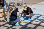 Meurtre à Fréjus-Plage : auteur présumé en garde à vue, une OQTF pointée