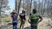 Mégafeu de l’Aude : comment l’enquête a mené à un agent de l’ONF