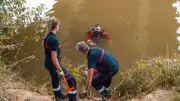 Miracle à Saint-Laurent-d’Aigouze : un octogénaire indemne après une chute dans un marécage