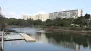 Montpellier : deux hommes échappent de justesse à une exécution au bord d'un lac
