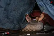 Morts de la rue : 929 sans-abri décédés en 2025, un cri d'alarme