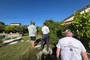 Mougins, Antibes, Cannes : la lutte contre le moustique tigre s'organise