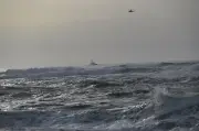 Naufrage à Malte : au moins 10 migrants retrouvés morts