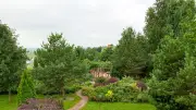Nouveau-né enterré dans un jardin en Vendée : les parents en garde à vue