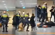Pays-Bas : une femme enceinte plaquée au sol par la police, une enquête ouverte