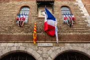 Perpignan : un ex-élu RN suspendu pour un tatouage nazi