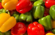 Poivron : un légume coloré aux nombreux bienfaits nutritionnels