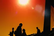 Politiser la canicule : un appel pour ne pas invisibiliser les morts