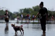 Pourquoi le terme « canicule » est sexiste et problématique