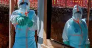 Premier cas d'Ebola confirmé en France : un médecin humanitaire infecté
