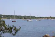 Projet de mouillages à Saint-Tropez : entre écologie et craintes de privatisation
