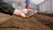 Proposition de loi sur le cadmium : une réduction progressive des seuils dans les engrais