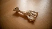 Rappel urgent du livre interactif Sophie la girafe pour danger d'étouffement