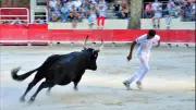Regards sur la course camarguaise : le nouveau livre photo de Jean-Louis Aubert