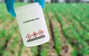 Remboursement du dépistage du cadmium dès le 16 juin